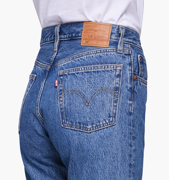 levis lost cause